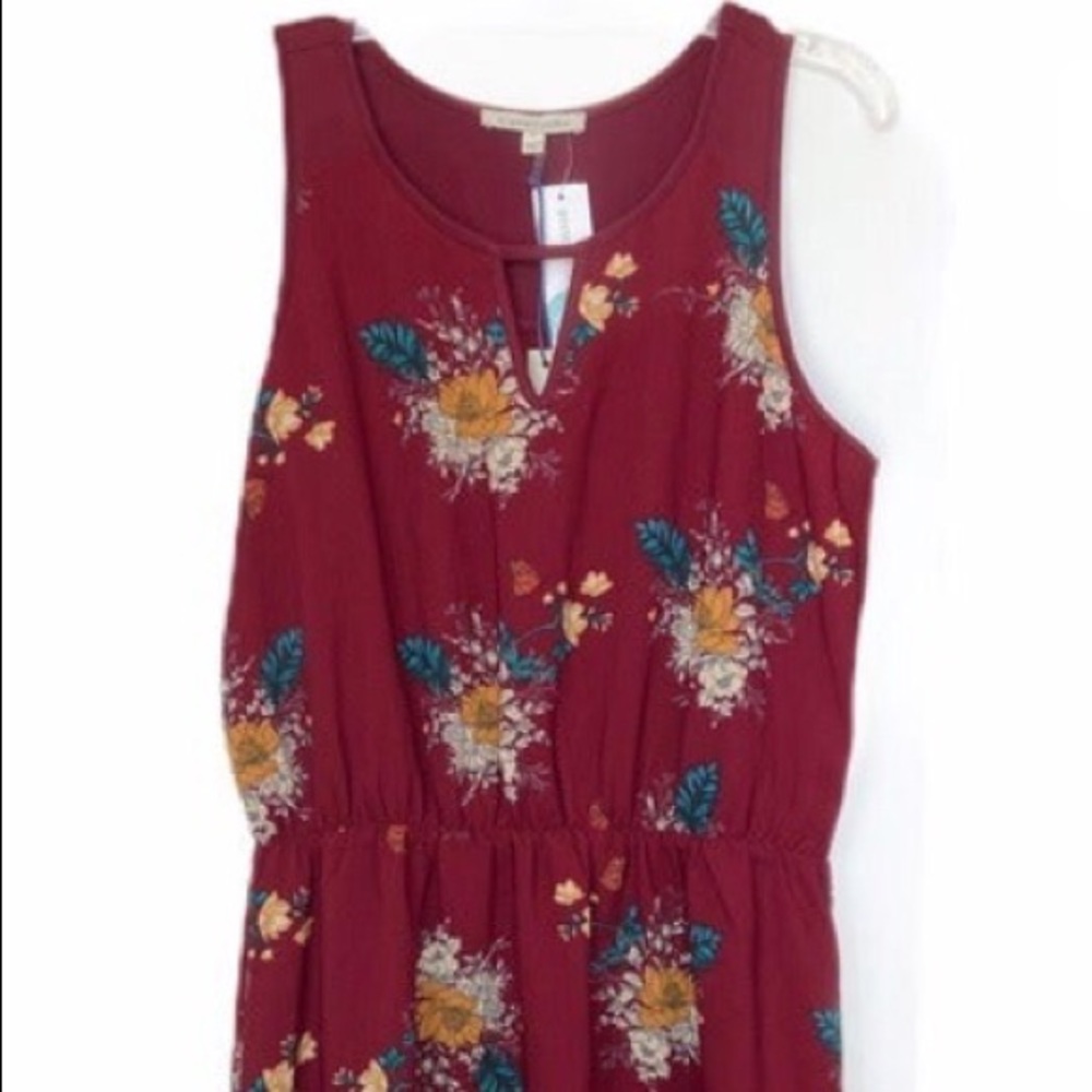 41 Hawthorn Evander Dress in 3X